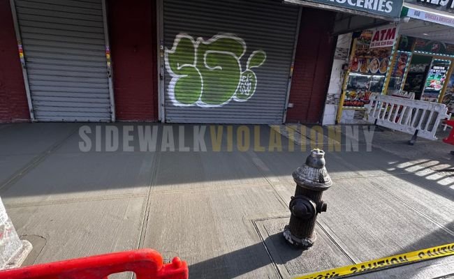 Tree root damage sidewalk repair project in Brooklyn, NY